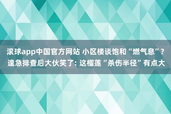 滚球app中国官方网站 小区楼谈饱和“燃气息”? 遑急排查后大伙笑了: 这榴莲“杀伤半径”有点大