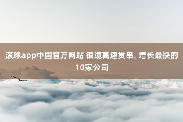 滚球app中国官方网站 铜缆高速贯串， 增长最快的10家公司
