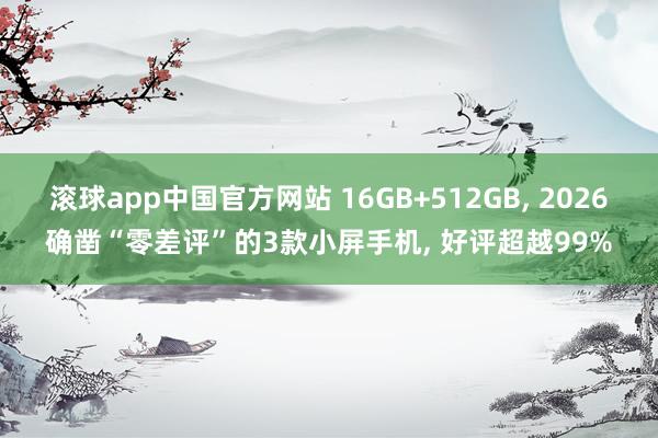 滚球app中国官方网站 16GB+512GB， 2026确凿“零差评”的3款小屏手机， 好评超越99%