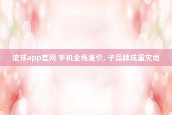 滚球app官网 手机全线涨价， 子品牌成重灾地