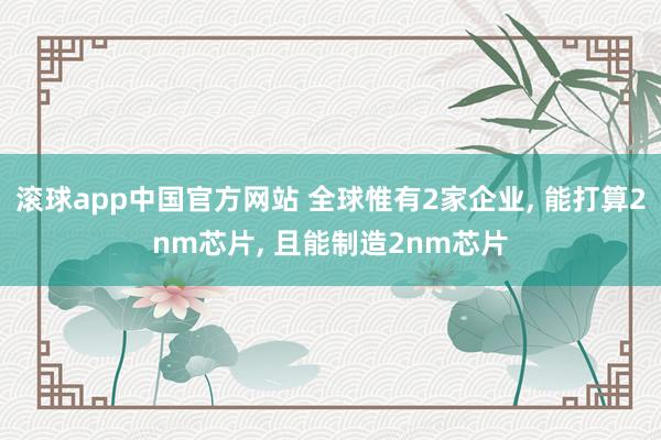 滚球app中国官方网站 全球惟有2家企业， 能打算2nm芯片， 且能制造2nm芯片