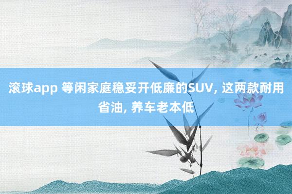 滚球app 等闲家庭稳妥开低廉的SUV， 这两款耐用省油， 养车老本低