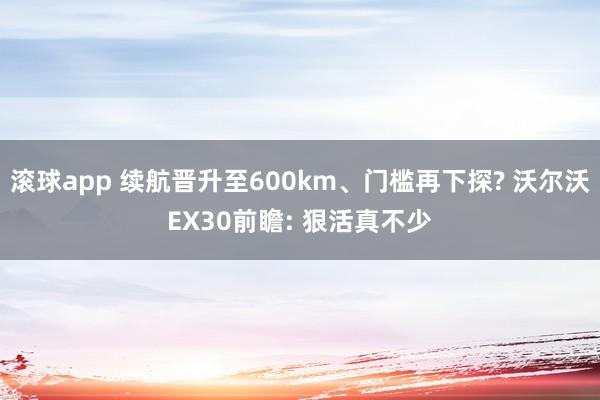 滚球app 续航晋升至600km、门槛再下探? 沃尔沃EX30前瞻: 狠活真不少