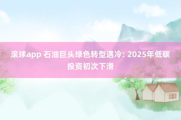 滚球app 石油巨头绿色转型遇冷: 2025年低碳投资初次下滑