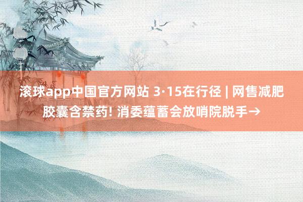 滚球app中国官方网站 3·15在行径 | 网售减肥胶囊含禁药! 消委蕴蓄会放哨院脱手→