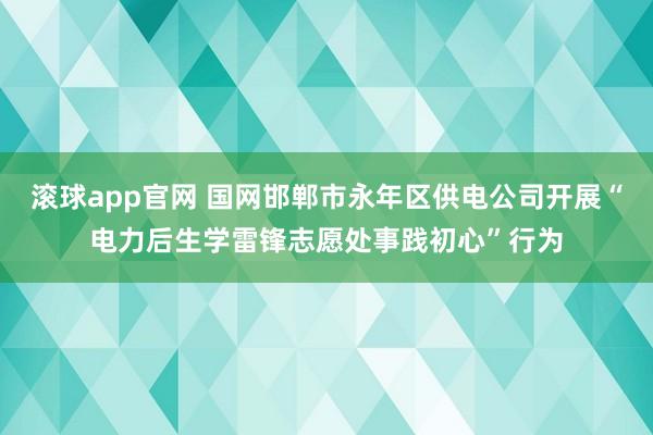 滚球app官网 国网邯郸市永年区供电公司开展“电力后生学雷锋志愿处事践初心”行为