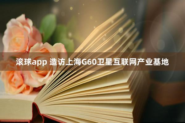 滚球app 造访上海G60卫星互联网产业基地