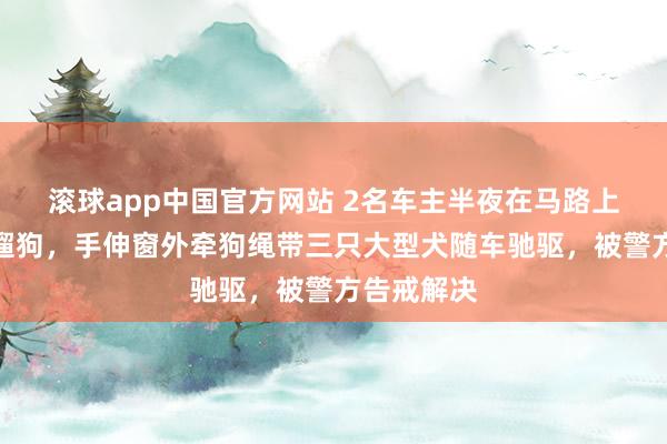 滚球app中国官方网站 2名车主半夜在马路上结伙开车遛狗，手伸窗外牵狗绳带三只大型犬随车驰驱，被警方告戒解决