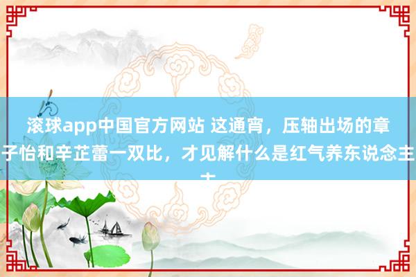 滚球app中国官方网站 这通宵，压轴出场的章子怡和辛芷蕾一双比，才见解什么是红气养东说念主