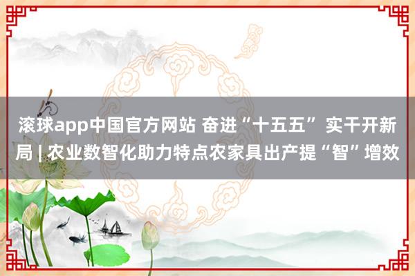 滚球app中国官方网站 奋进“十五五” 实干开新局 | 农业数智化助力特点农家具出产提“智”增效