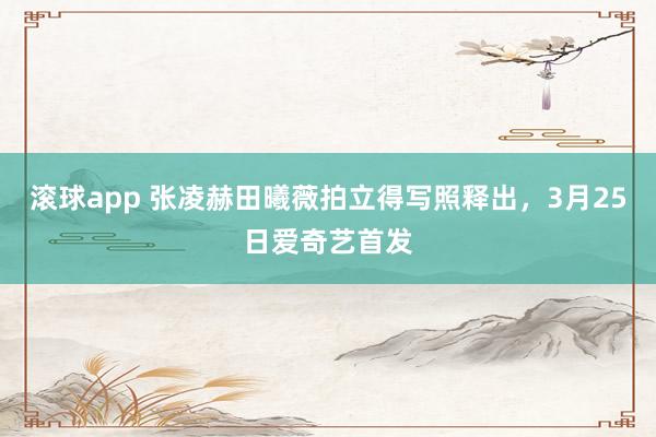 滚球app 张凌赫田曦薇拍立得写照释出，3月25日爱奇艺首发