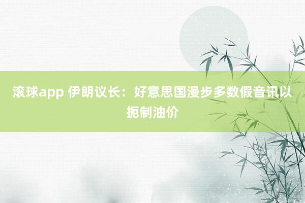 滚球app 伊朗议长：好意思国漫步多数假音讯以扼制油价