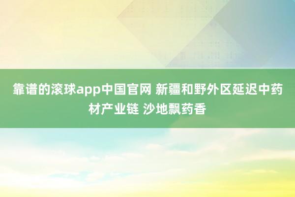 靠谱的滚球app中国官网 新疆和野外区延迟中药材产业链 沙地飘药香