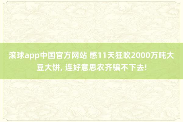滚球app中国官方网站 憋11天狂吹2000万吨大豆大饼, 连好意思农齐骗不下去!