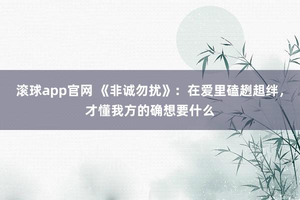 滚球app官网 《非诚勿扰》：在爱里磕趔趄绊，才懂我方的确想要什么