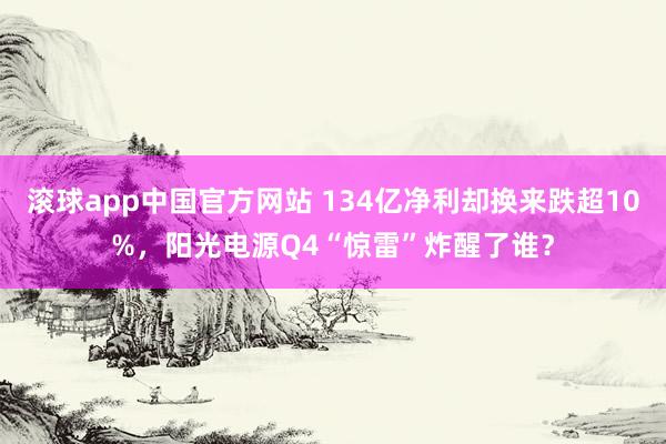 滚球app中国官方网站 134亿净利却换来跌超10%，阳光电源Q4“惊雷”炸醒了谁？