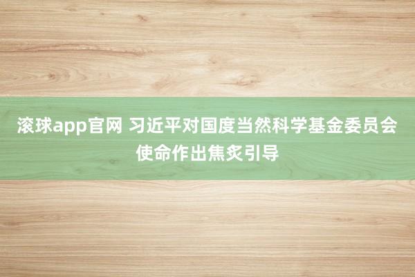 滚球app官网 习近平对国度当然科学基金委员会使命作出焦炙引导