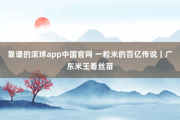 靠谱的滚球app中国官网 一粒米的百亿传说｜广东米王看丝苗
