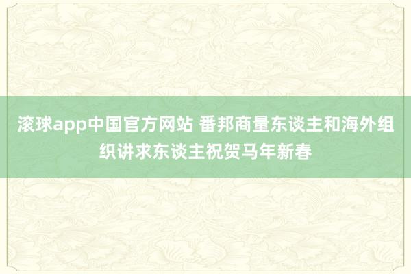 滚球app中国官方网站 番邦商量东谈主和海外组织讲求东谈主祝贺马年新春