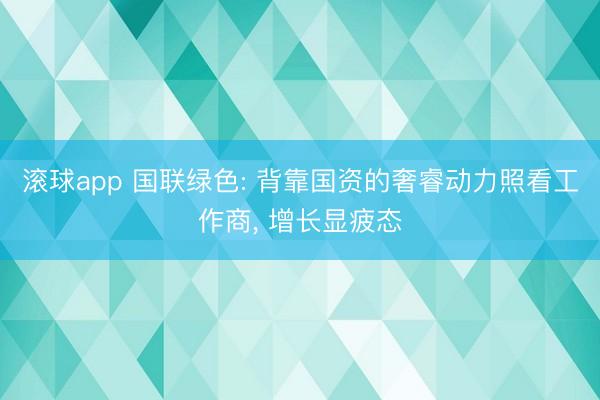 滚球app 国联绿色: 背靠国资的奢睿动力照看工作商， 增长显疲态