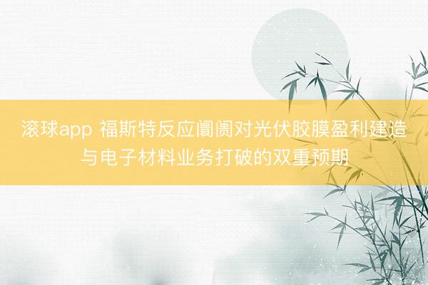 滚球app 福斯特反应阛阓对光伏胶膜盈利建造与电子材料业务打破的双重预期