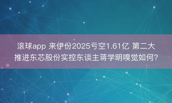 滚球app 来伊份2025亏空1.61亿 第二大推进东芯股份实控东谈主蒋学明嗅觉如何?