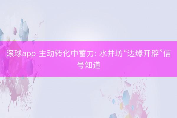 滚球app 主动转化中蓄力: 水井坊“边缘开辟”信号知道