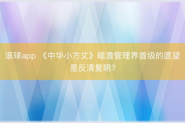 滚球app 《中华小方丈》暗澹管理界首级的愿望是反清复明?