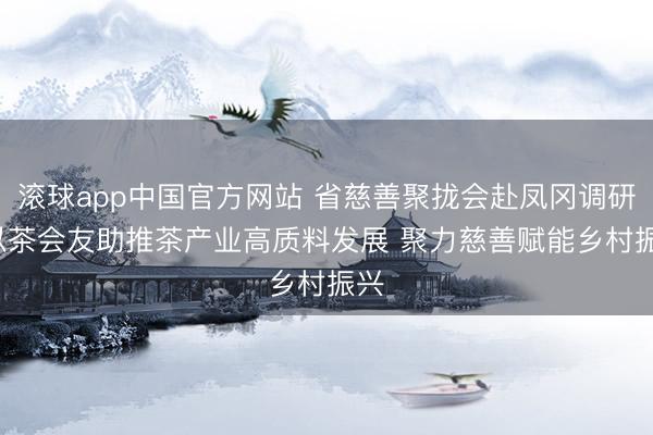 滚球app中国官方网站 省慈善聚拢会赴凤冈调研: 以茶会友助推茶产业高质料发展 聚力慈善赋能乡村振兴