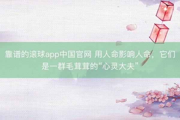 靠谱的滚球app中国官网 用人命影响人命，它们是一群毛茸茸的“心灵大夫”