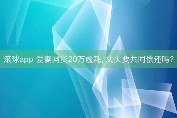 滚球app 爱妻网贷20万虚耗， 丈夫要共同偿还吗?