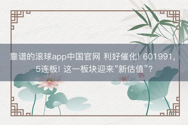 靠谱的滚球app中国官网 利好催化! 601991， 5连板! 这一板块迎来“新估值”?