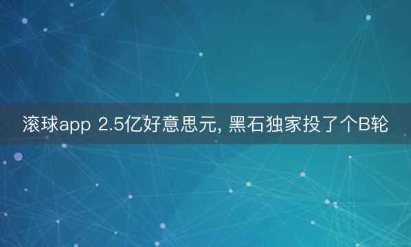 滚球app 2.5亿好意思元， 黑石独家投了个B轮