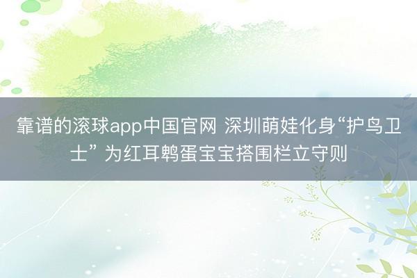 靠谱的滚球app中国官网 深圳萌娃化身“护鸟卫士” 为红耳鹎蛋宝宝搭围栏立守则