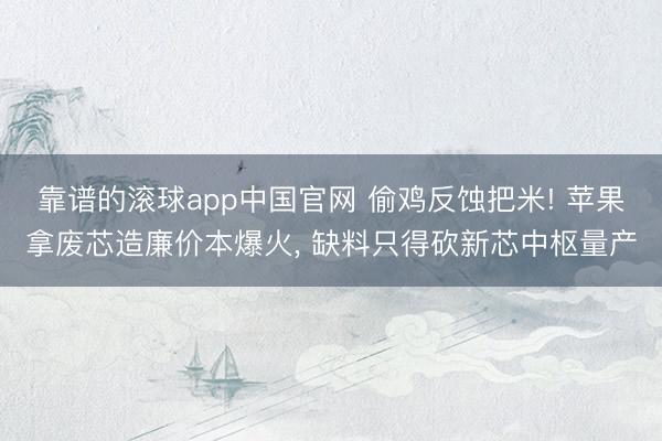 靠谱的滚球app中国官网 偷鸡反蚀把米! 苹果拿废芯造廉价本爆火, 缺料只得砍新芯中