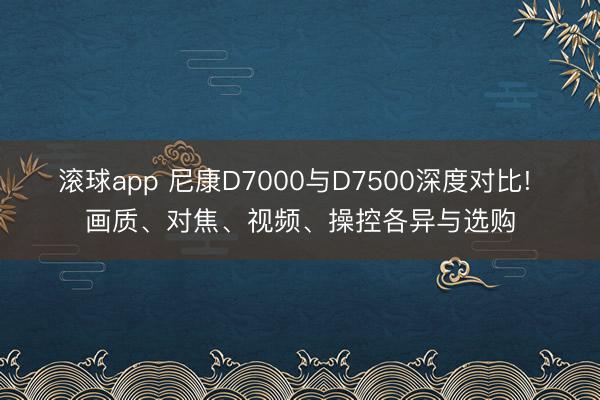 滚球app 尼康D7000与D7500深度对比! 画质、对焦、视频、操控各异与选购