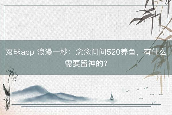滚球app 浪漫一秒：念念问问520养鱼，有什么需要留神的？